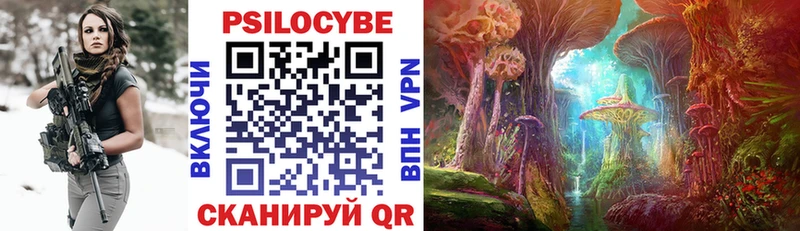 Галлюциногенные грибы Cubensis  где найти   Новое Девяткино 